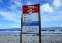 Mulher é mordida por tubarão em praia de Recife; veja vídeo Adolescente morre após ser mordido por tubarão em praia de Pernambuco