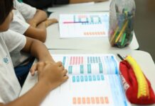 MEC lança diretrizes para ensino de arte na educação básica Censo registra queda de 1 milhão de matrículas na educação básica