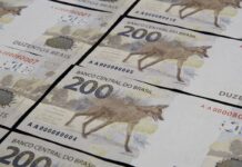 Prévia da carga tributária sobe para 32,4% do PIB em 2025 Governo publica programação do Orçamento em 2026