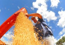 Atividade econômica brasileira cresce 0,6% em fevereiro Atividade econômica brasileira cresce 0,6% em fevereiro