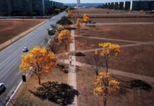 Brasília é a 5ª capital do Brasil com mais dias secos por ano Brasília completa 66 anos em 21 de abril de 2026
