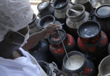 CMN libera linha de capital de giro a cooperativas de leite no Pronaf CMN libera linha de capital de giro a cooperativas de leite no Pronaf