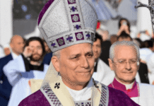 Democracias podem virar “tirania da maioria”, diz papa Leão 14 Papa Leão 14