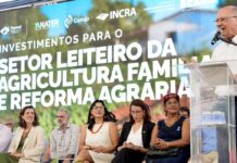 Governo federal anuncia recursos para o Pronaf Mais Leite Governo federal anuncia recursos para o Pronaf Mais Leite