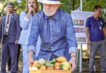 Lula: qualidade do agro é essencial para ampliar exportações Lula: qualidade do agro é essencial para ampliar exportações