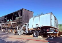 Pai e filho morrem após caminhonete com queijo bater em carreta em Minas Gerais Pai e filho morrem após caminhonete com queijo bater em carreta em Minas Gerais