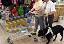 Projeto em Salvador garante acesso de pessoas com deficiência com cães de assistência #Acesse Política