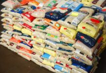 3ª edição da corrida arrecada mais de 1 tonelada de alimentos – Imprensa Bahia 3ª edição da corrida arrecada mais de 1 tonelada de alimentos – Imprensa Bahia