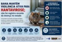 Bahia mantém vigilância ativa para hantavirose; não há registro recente da doença no estado Bahia mantém vigilância ativa para hantavirose; não há registro recente da doença no estado