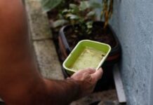Bahia registra queda de 41% nos casos de dengue em 2026 Bahia registra queda de 41% nos casos de dengue em 2026
