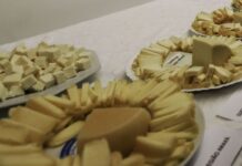 Brasil começa a importar queijo mais barato após acordo Mercosul–UE Brasil começa a importar queijo mais barato após acordo Mercosul–UE