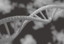 Brasil tem desigualdade no acesso ao diagnóstico de doenças genéticas DNA em preto e branco
