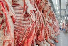 Governo promete reverter veto da UE a carnes e animais brasileiros Governo promete reverter veto da UE a carnes e animais brasileiros