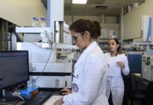 Iniciativas tentam facilitar acesso e permanência de mães na ciência Iniciativas tentam facilitar acesso e permanência de mães na ciência