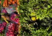 Salvador sedia pela primeira vez o Encontro de Pesquisas em Gastronomias do Brasil (ENPEGASTRO) Portal Estado da Bahia
