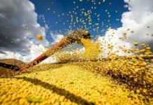 a nova fronteira econômica que reposiciona o agro brasileiro #Acesse Política