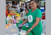 Agricultores familiares aumentam renda em 30% com programa federal Agricultores familiares aumentam renda em 30% com programa federal