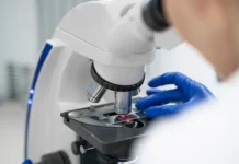 Bactéria capaz de criar DNA do zero intriga cientistas #Acesse Política