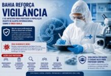 Bahia reforça vigilância e se antecipa para proteger a população diante de alerta internacional sobre o vírus Ebola Bahia reforça vigilância e se antecipa para proteger a população diante de alerta internacional sobre o vírus Ebola