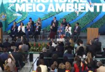 Governo amplia proteção ambiental e prepara recuperação de florestas Governo amplia proteção ambiental e prepara recuperação de florestas