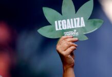 Marcha da Maconha reúne 7,4 mil pessoas em São Paulo, diz monitoramento da USP – CartaCapital Marcha da Maconha reúne 7,4 mil pessoas em São Paulo, diz monitoramento da USP – CartaCapital