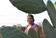 Mulheres comandam produção em duas em cada dez propriedades rurais Mulheres comandam produção em duas em cada dez propriedades rurais