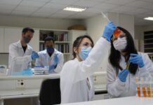 Nanotecnologia brasileira permite tratar doença de pele com precisão Nanotecnologia brasileira permite tratar doença de pele com precisão
