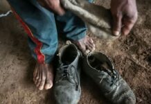 Senado aprova proteção a trabalhadores resgatados de trabalho escravo Senado aprova proteção a trabalhadores resgatados de trabalho escravo
