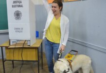 Brasil tem quase 2 milhões de eleitores com deficiência, aponta TSE Brasil tem quase 2 milhões de eleitores com deficiência, aponta TSE