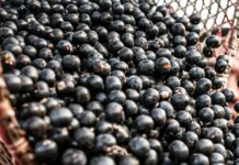 China facilita exportação de polpas e frutas congeladas brasileiras China facilita exportação de polpas e frutas congeladas brasileiras