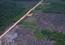 Eco Invest Brasil promove quinto leilão para financiar inovação Eco Invest Brasil promove quinto leilão para financiar inovação