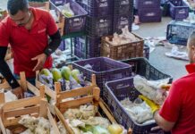 Governo anuncia crédito de R$ 97,3 bi para agricultores familiares Governo anuncia crédito de R$ 97,3 bi para agricultores familiares