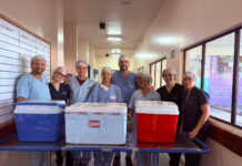 Hospital de Porto Seguro realiza captação de múltiplos órgãos profissionais do hospital