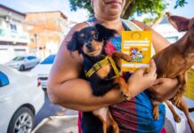 Madre de Deus realiza Campanha Nacional de Vacinação Antirrábica para cães e gatos – Imprensa Bahia Madre de Deus realiza Campanha Nacional de Vacinação Antirrábica para cães e gatos – Imprensa Bahia