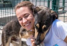 O melhor amigo não precisa de pedigree, só de uma chance Mulher sorridente brincando com um cachorro para adoção