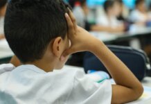 Censo Escolar 2026: coleta de dados da 1ª etapa termina nesta sexta Censo Escolar 2026: coleta de dados da 1ª etapa termina nesta sexta