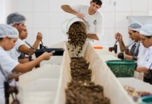 Consulta sobre bens sustentáveis no acordo Mercosul–UE acaba na quarta Consulta sobre bens sustentáveis no acordo Mercosul–UE acaba na quarta