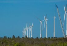 Projeto mapeia caminhos para economia verde no Nordeste Projeto mapeia caminhos para economia verde no Nordeste