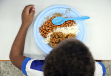 profissionais da Prefeitura de Salvador atuam da alimentação escolar à prevenção de doenças – Prefeitura Municipal de Salvador profissionais da Prefeitura de Salvador atuam da alimentação escolar à prevenção de doenças – Prefeitura Municipal de Salvador
