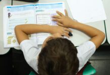 Censo Escolar: resultado preliminar está disponível no site do Inep Censo Escolar: resultado preliminar está disponível no site do Inep