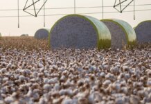 Entenda mudança no mapa que tirou Sorriso do topo da produção agrícola Entenda mudança no mapa que tirou Sorriso do topo da produção agrícola