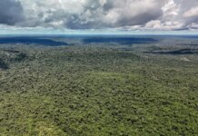 Fazenda autoriza crédito de US$ 1 bilhão do BID para Eco Invest Brasil Fazenda autoriza crédito de US$ 1 bilhão do BID para Eco Invest Brasil