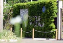 Feira de Sustentabilidade e Agroecologia celebra a Primavera neste sábado (26) no Parque da Cidade – Prefeitura Municipal de Salvador Feira de Sustentabilidade e Agroecologia celebra a Primavera neste sábado (26) no Parque da Cidade – Prefeitura Municipal de Salvador