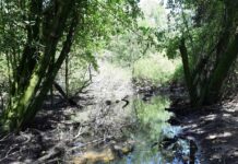 Moradores e ambientalistas destacam importância da efetivação do Parque Municipal do Passa Vaca para preservação do manguezal Moradores e ambientalistas destacam importância da efetivação do Parque Municipal do Passa Vaca para preservação do manguezal