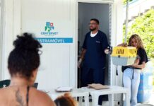 Prefeitura de Salvador lança edital para castração de cães e gatos errantes e comunitários – Prefeitura Municipal de Salvador Prefeitura de Salvador lança edital para castração de cães e gatos errantes e comunitários – Prefeitura Municipal de Salvador