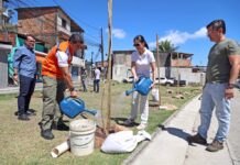 Prefeitura encerra Operação Plantio Chuva com mais de 10 mil mudas em Salvador – Prefeitura Municipal de Salvador Prefeitura encerra Operação Plantio Chuva com mais de 10 mil mudas em Salvador – Prefeitura Municipal de Salvador