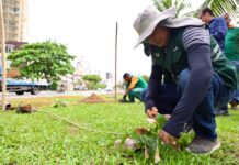 Prefeitura realiza plantio de 100 mudas na Avenida Magalhães Neto – Prefeitura Municipal de Salvador Prefeitura realiza plantio de 100 mudas na Avenida Magalhães Neto – Prefeitura Municipal de Salvador