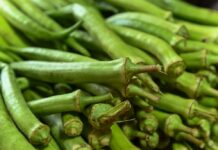 Procura por ingredientes para caruru de Cosme e Damião já começa nas feiras e mercados populares em Salvador – Prefeitura Municipal de Salvador Procura por ingredientes para caruru de Cosme e Damião já começa nas feiras e mercados populares em Salvador – Prefeitura Municipal de Salvador