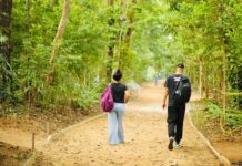 Salvador é reconhecida internacionalmente por revitalização do Jardim Botânico Municipal – Prefeitura Municipal de Salvador Salvador é reconhecida internacionalmente por revitalização do Jardim Botânico Municipal – Prefeitura Municipal de Salvador