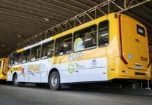 Transporte em Salvador será gratuito no primeiro turno das eleições – Prefeitura Municipal de Salvador Transporte em Salvador será gratuito no primeiro turno das eleições – Prefeitura Municipal de Salvador